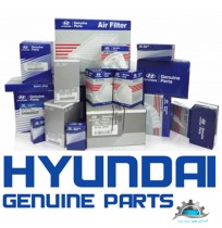 فیلتر بنزین فابریک هیوندای (Hyundai Sonata Hybrid LF) سوناتا هیبریدی (2014-2016) 2400CC